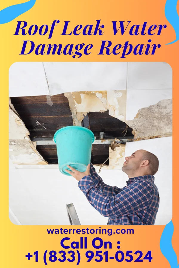 Roof Leak Water Damage Repair in Gold Hill, CO